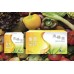 VFK 燒內脂×4+Detox Trim淸纖美(30日)